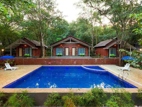 Rain Forest Dandeli